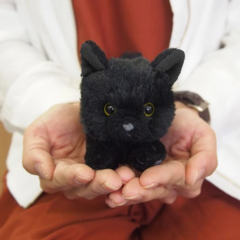 Hizaneko Chibi Ball Chain Plush Collection 22 Hizaneko Chibi Ball Chain Plush Collection - Image 20