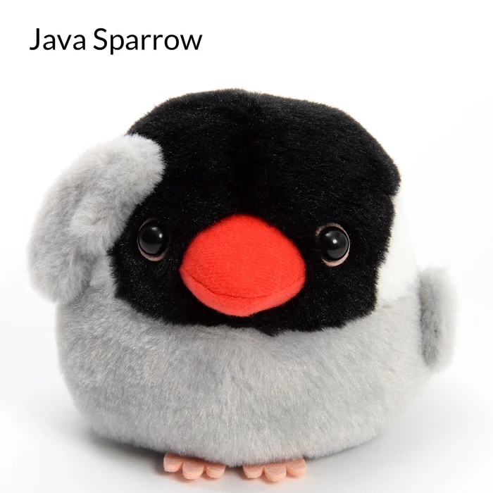 Kotori Tai Pipitto! Bird Plush Collection (Standard) 5 Kotori Tai Pipitto! Bird Plush Collection (Standard) - Image 3